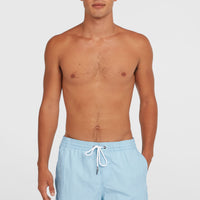 Vert 16'' Swim Shorts | Blue Topaz