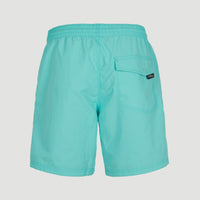 Vert 16'' Swim Shorts | Aqua Spalsh