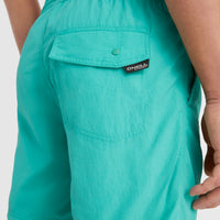 Vert 16'' Swim Shorts | Sea Green