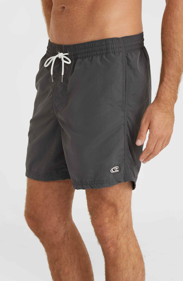 Vert 16'' Swim Shorts | Asphalt