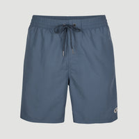 Vert 16'' Swim Shorts | Dusty Blue -A