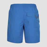 Vert 16'' Swim Shorts | Victoria Blue -A