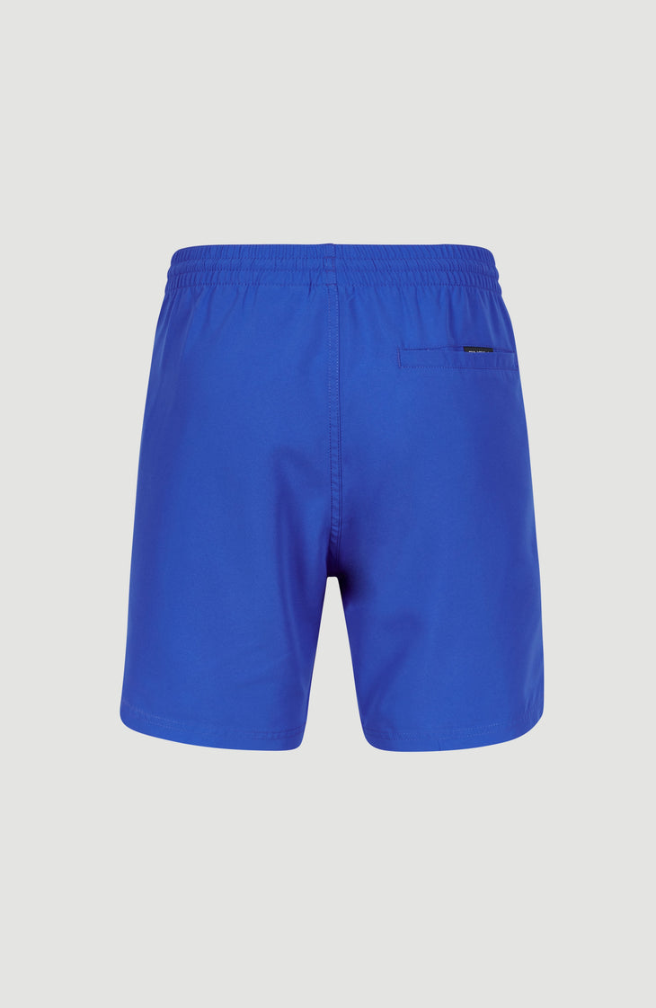 Cali 16" Swim Shorts | Victoria Blue