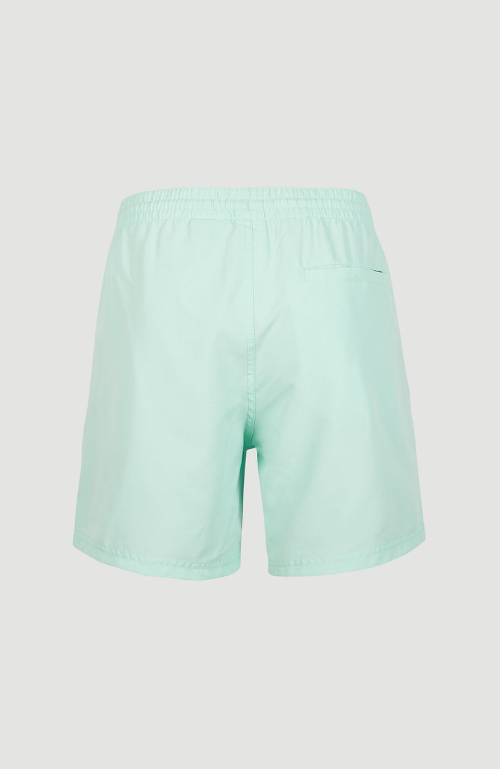 Cali Swim Shorts | Beach Glass