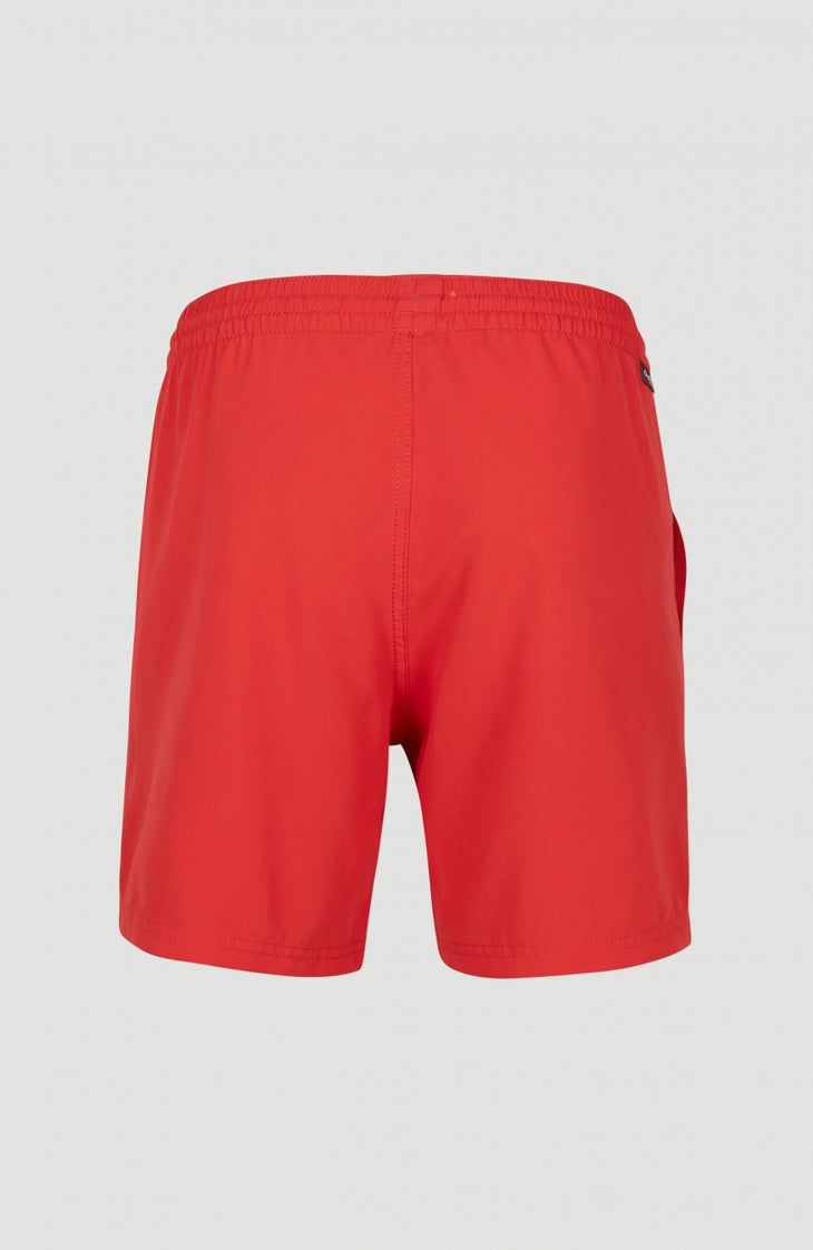 Cali Swim Shorts | Plaid