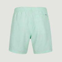 Original Cali 16'' Swim Shorts | Beach Glass