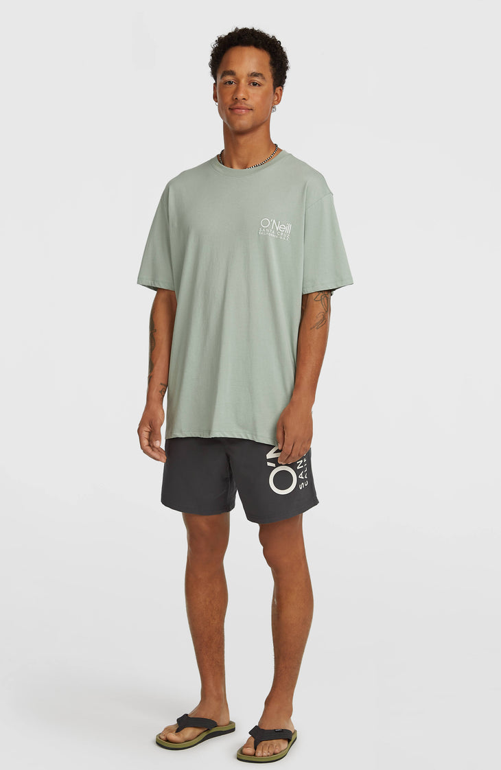 Original Cali 16" Swim Shorts | Asphalt