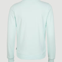 Circle Surfer Crew Sweatshirt | Soothing Sea