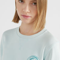 Circle Surfer Crew Sweatshirt | Whispering Blue