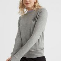 Circle Surfer Crew Sweatshirt | Silver Melee