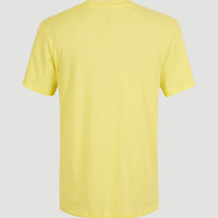 Essentials V-Neck T-Shirt | Sunshine