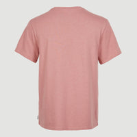 Essentials V-Neck T-Shirt | Ash Rose