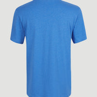 Essentials V-Neck T-Shirt | Palace Blue