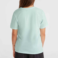 Essentials V-Neck T-Shirt | Soothing Sea