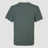 Essentials V-Neck T-Shirt | Balsam Green