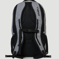 Boarder Plus Backpack | Silver Melee