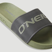 Logo Slides | Deep Lichen Green