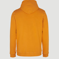 O'Neill Logo Hoodie | Nugget