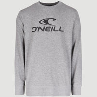 O'Neill Logo Crew Sweatshirt | Silver Melee