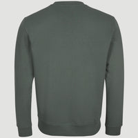 Circle Surfer Crew Sweatshirt | Balsam Green