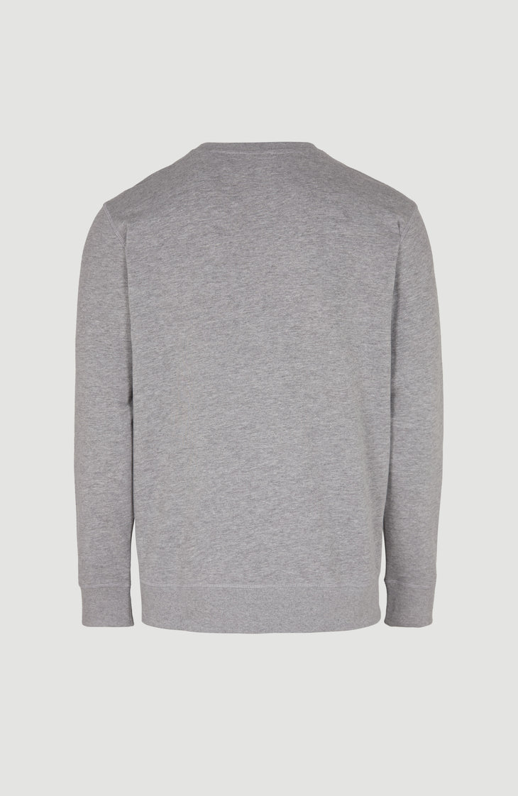 O'Neill Small Logo Crew Sweatshirt | Silver Melee