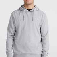 O'Neill Small Logo Hoodie | Silver Melee