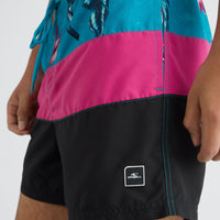 Frame Block Swim Shorts | Red Multi Stripe