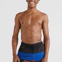 Frame Block Swim Shorts | Blue Multi 6