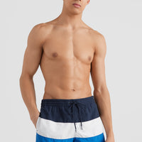 Frame Block Swim Shorts | Blue Multi 9