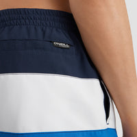 Frame Block Swim Shorts | Blue Multi 9