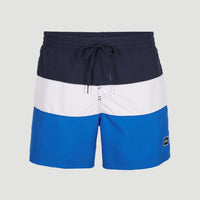 Frame Block Swim Shorts | Blue Multi 9