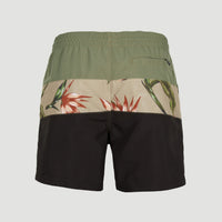 Frame Block Swim Shorts | Green Multi 1