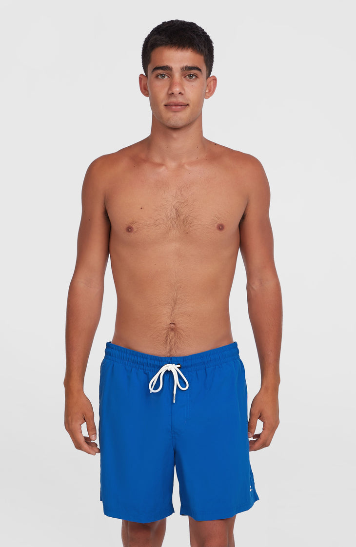 O'Neill Vert 16" Swim Shorts | Victoria Blue