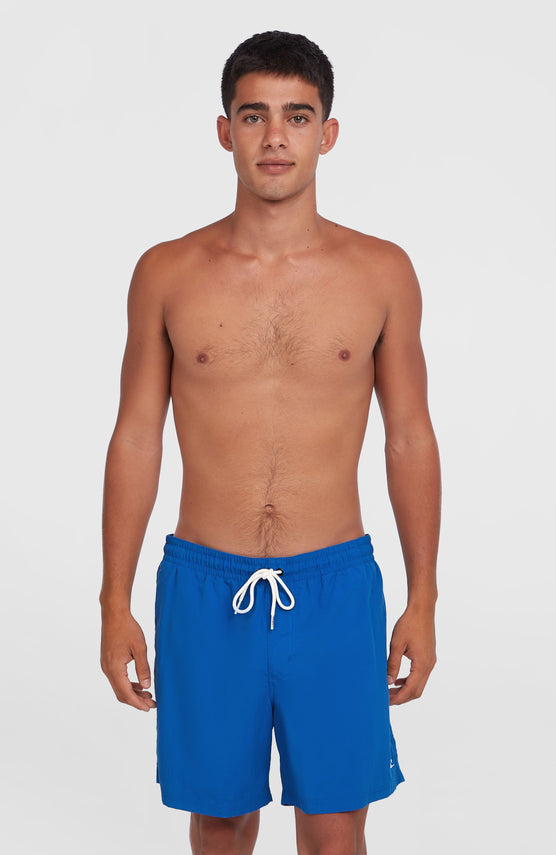 O'Neill Vert 16'' Swim Shorts | Victoria Blue