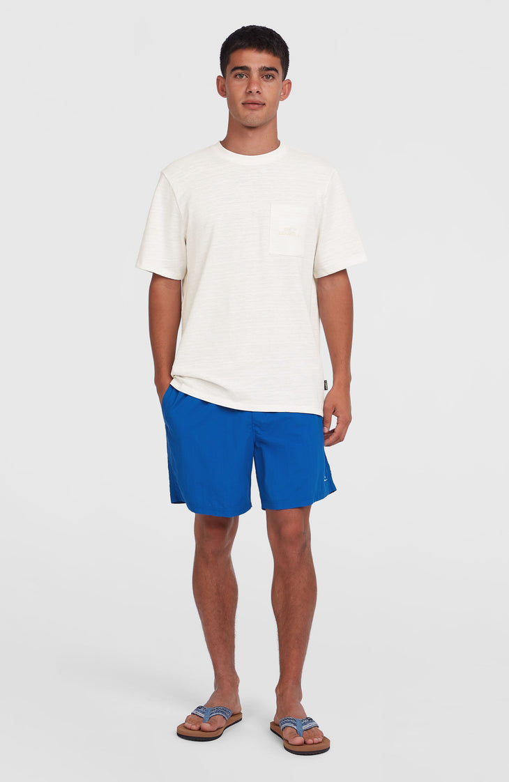 O'Neill Vert 16'' Swim Shorts | Victoria Blue
