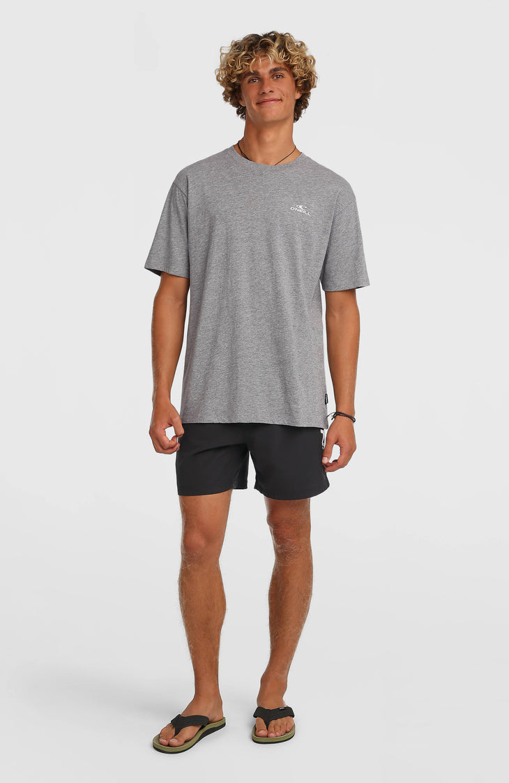 O'Neill Logo 16'' Swimshorts | Black Out