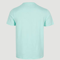 Arrowhead T-Shirt | Beach Glass