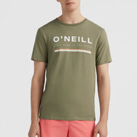 Arrowhead T-Shirt | Deep Lichen Green