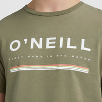 Arrowhead T-Shirt | Deep Lichen Green