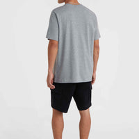 O'Neill Small Logo T-Shirt | Silver Melee