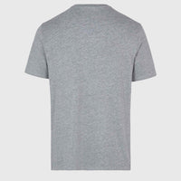 O'Neill Small Logo T-Shirt | Silver Melee