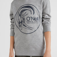 Circle Surfer Hoodie | Silver Melee