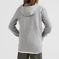 Circle Surfer Hoodie | Silver Melee