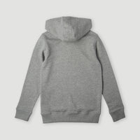 Circle Surfer Hoodie | Silver Melee