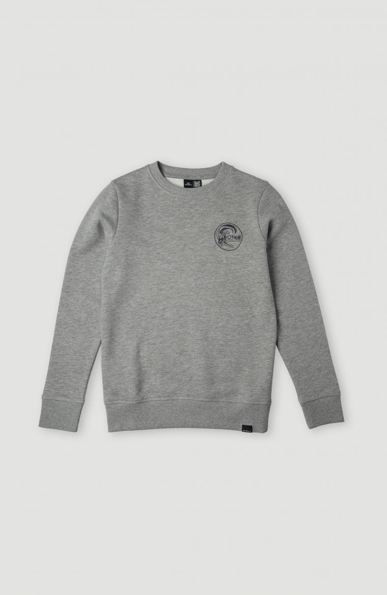 Circle Surfer Crew Sweatshirt | Silver Melee