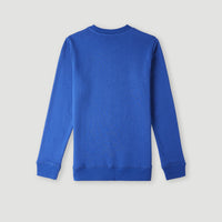 O'Neill Logo Crew Sweatshirt | Surf the web Blue