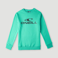 O'Neill Logo Crew Sweatshirt | Sea Green