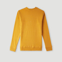 O'Neill Logo Crew Sweatshirt | Nugget