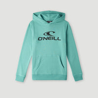 O'Neill Logo Hoodie | Sea Green