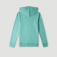 O'Neill Logo Hoodie | Sea Green